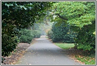 Kew Gardens