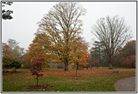 Kew Gardens