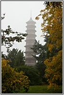 Pagoda