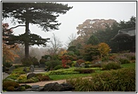 Japanese Garden