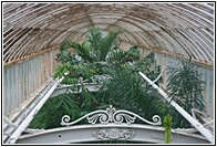 Palm House