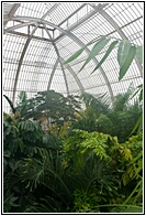 Palm House