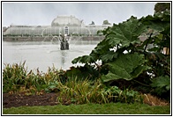 Palm House