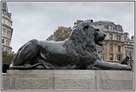 Bronze Lion