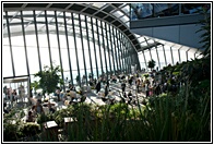 Sky Garden