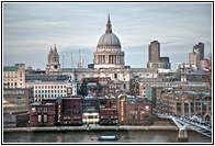 The City