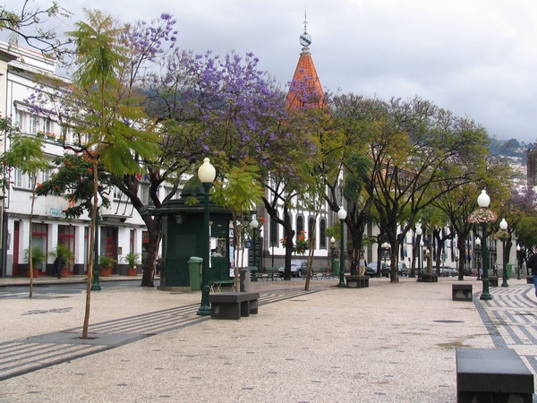 Avenida Arriaga