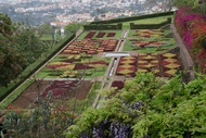Jardn Botnico