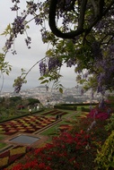 Jardn Botnico
