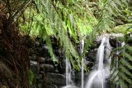 Parque das Queimadas