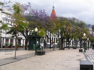 Avenida Arriaga