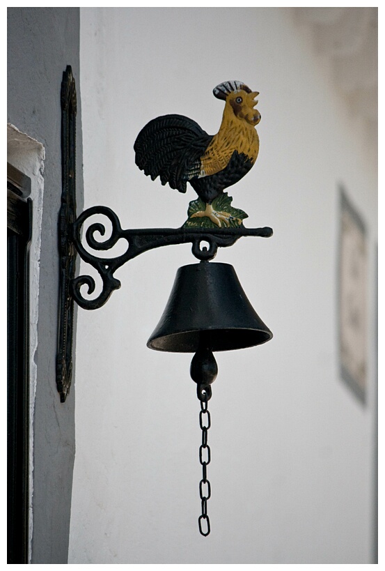 Campana-Gallo