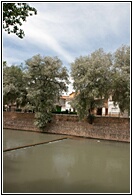 El Jcar