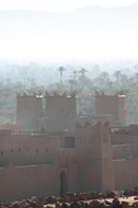 Palm Trees in Zagora 