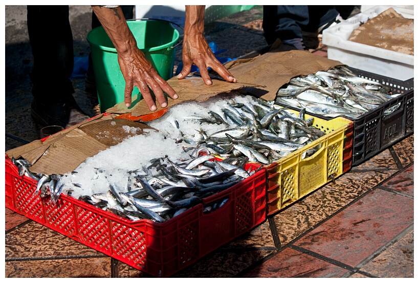 Selling Fish