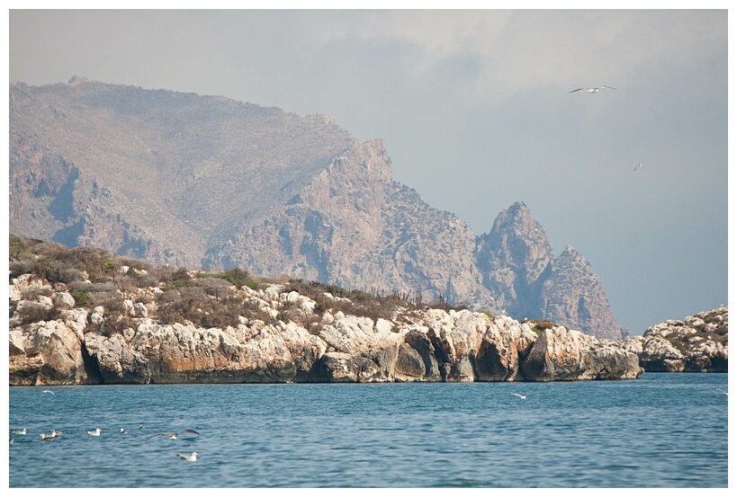 Bay of Al-Hoceima