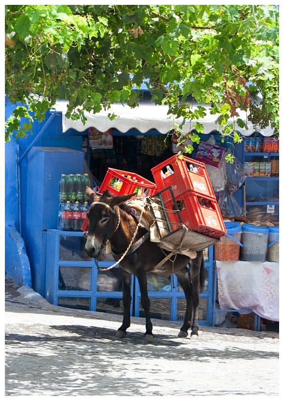 Traditional Delivery