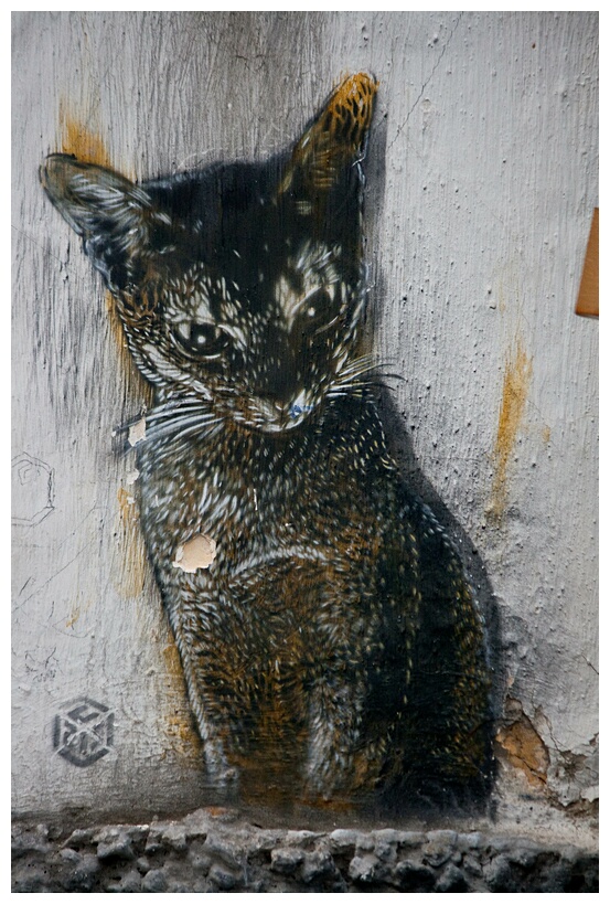 Black Kitty