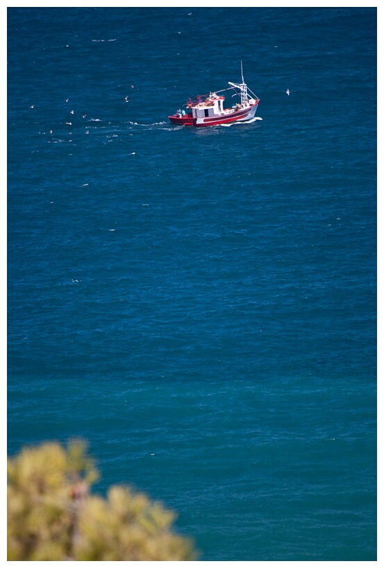 Sailing to Fish