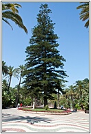 Parque Hernndez