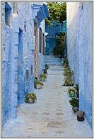 Blue Painted