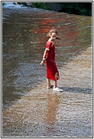 In the Water