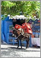 Traditional Delivery
