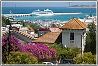 Panoramic View