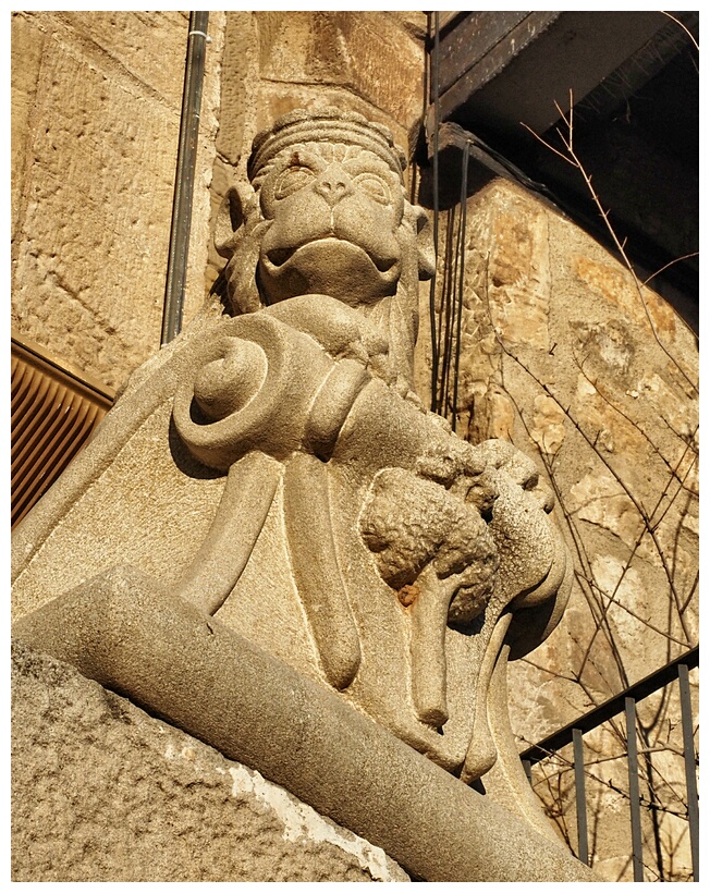 Leones