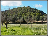 Alrededores
