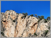 El Parrisal