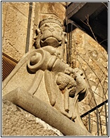 Leones