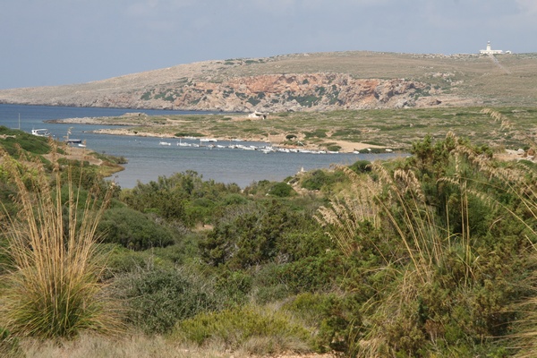 Cap de Cavalleria