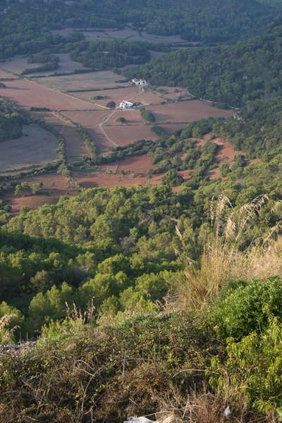 View from Monte Toro