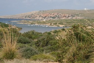 Cap de Cavalleria