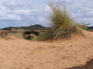 Sandy hillock