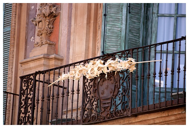 Palma Decorativa