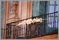 Palma Decorativa