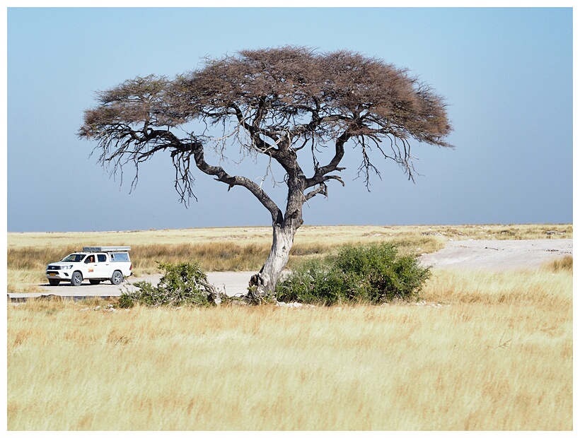 Etosha National Park