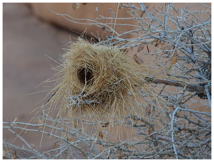 Spitzkoppe