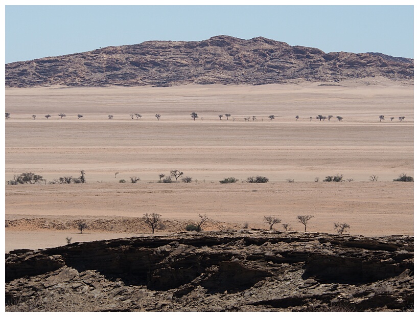 Namib Desert