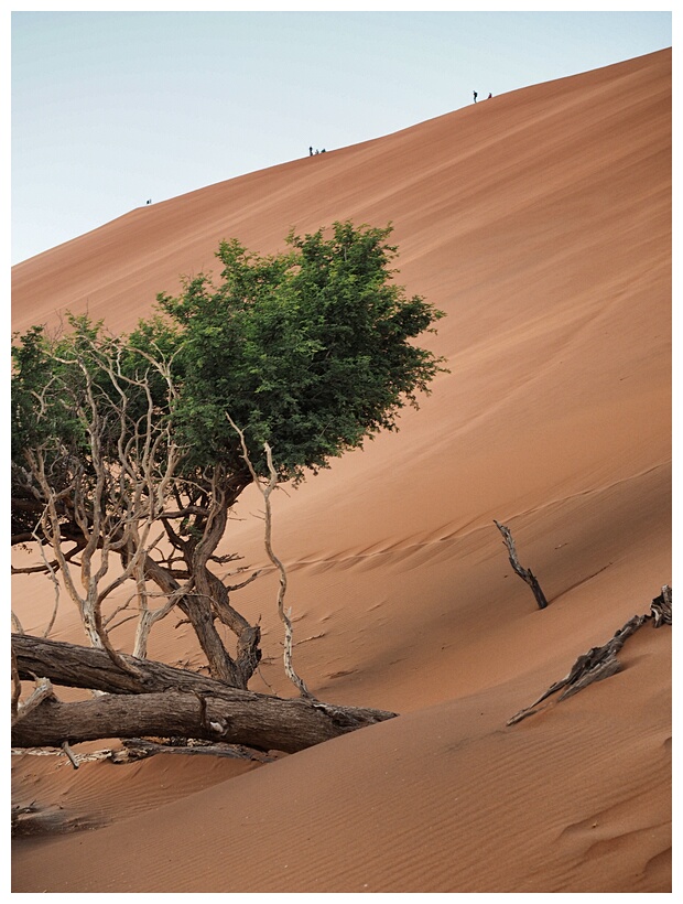 Nambi Desert