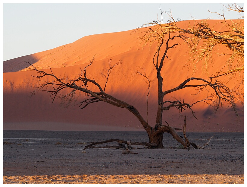 Namib Desert