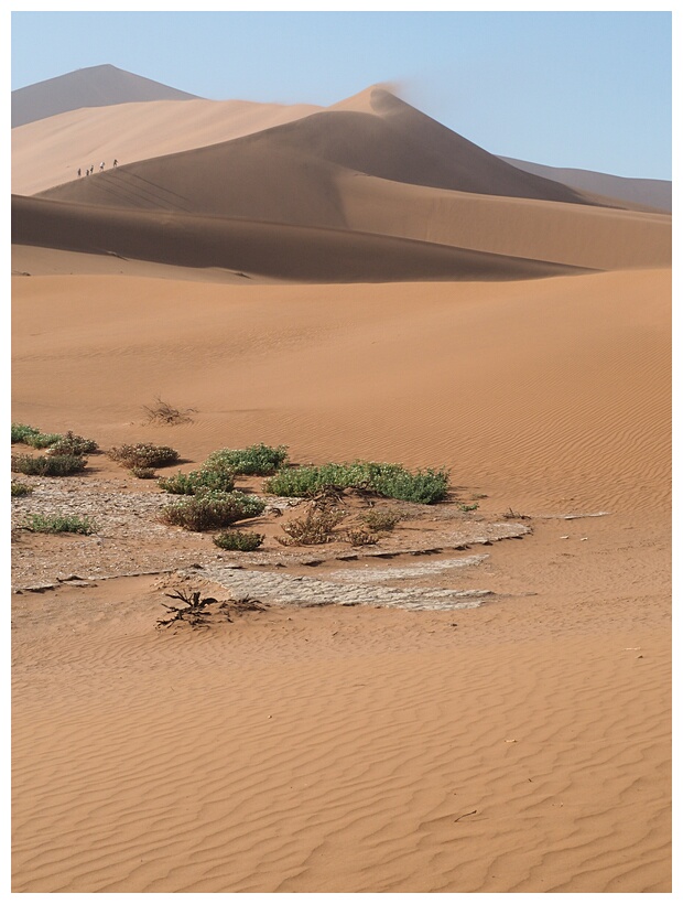 Namib Desert