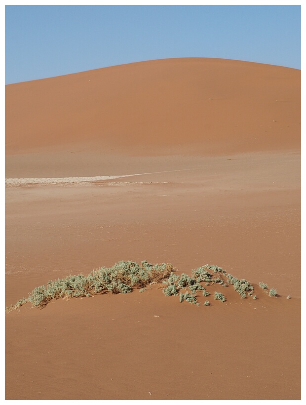 Deadvlei