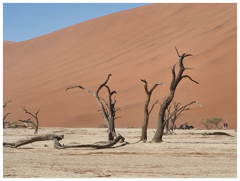 Deadvlei