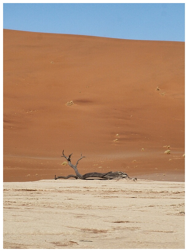Deadvlei