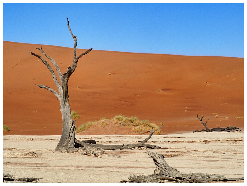 Deadvlei