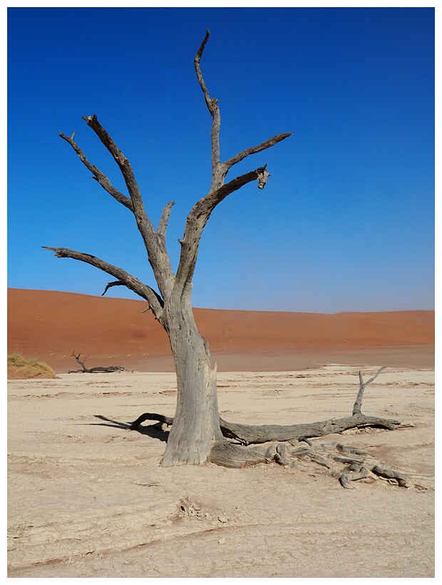 Deadvlei