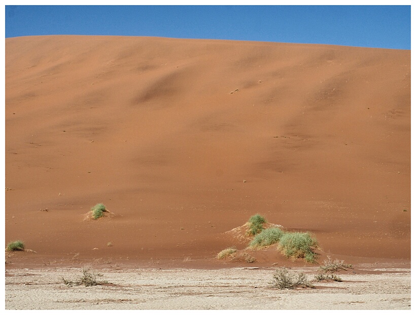 Deadvlei